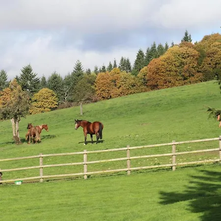 Maison Dans La Foret D'ecouves Avec Wifi Et Animaux Acceptes - Fr-1-497-111 Prázdninový dům Ecouves