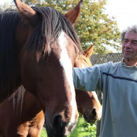 Landhaus Maison Dans La Foret D'ecouves Avec Wifi Et Animaux Acceptes Ecouves
