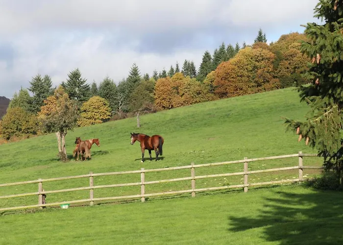 Maison Dans La Forêt D'écouves Avec Wifi Et Animaux Acceptés - Fr-1-497-111 Casa de Férias Ecouves