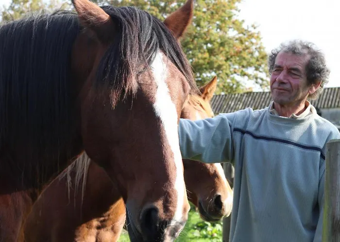 Casa de Férias Maison Dans La Forêt D'écouves Avec Wifi Et Animaux Acceptés - Fr-1-497-111 Ecouves